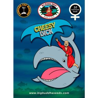 CH10 - Cheesy Dick 10 u. fem. Big Buddha Seeds