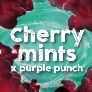 21218 - Cherry Mints  3 u. fem. Tramuntana Seeds