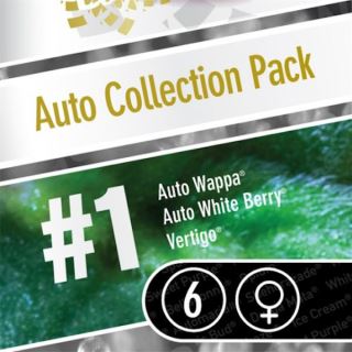 CAP1 - Coleccion Auto Pack#1 - 6 u. Paradise Seeds