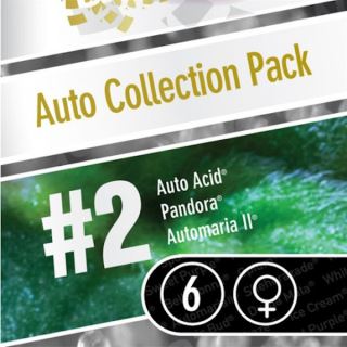 CAP2 - Coleccion Auto Pack#2 - 6 u. Paradise Seeds