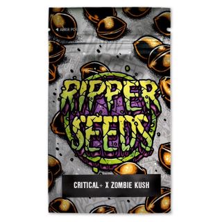 19357 - Critical x Zombie Kush  3 u. fem. Ed. Lim. Ripper Seeds
