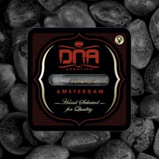 21280 - DNA Mix  5 u. fem. DNA Genetics