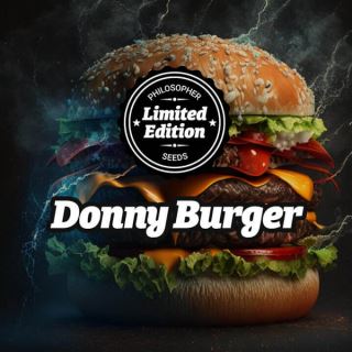 21407 - Donny Burger 5 u fem Ed.Especial Philosopher
