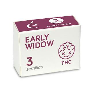 Early Widow 3 u. fem. Elite Seeds