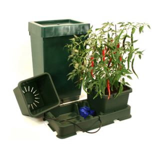 Easy2grow    2 - Deposito 47 lts. Green Autopot  48/72 h.