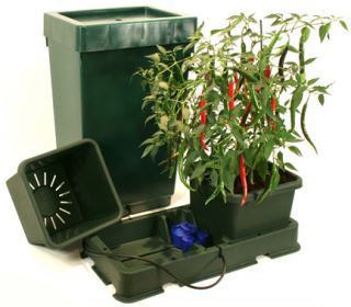 AP201XL2 - Easy2grow XL   2 - Deposito 47 lts. Green  Autopot  48/72 h.