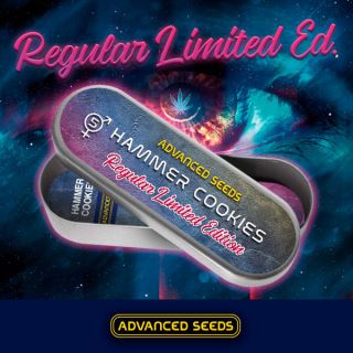 13220 - Ed. Especial - Hammer Cookies 5 u. reg. Advanced Seeds