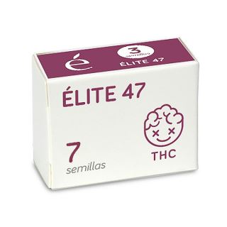 14517 - Elite 47 - 7 u. fem. Elite Seeds