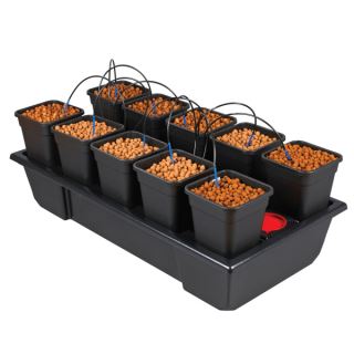 WV2S10 - Equipo Hidroponico Wilma V2 Small Wide  10x6 lt.