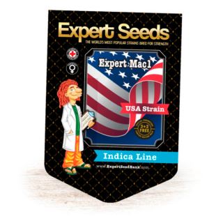 13900 - Expert Mac1  5 u. fem. Expert Seeds