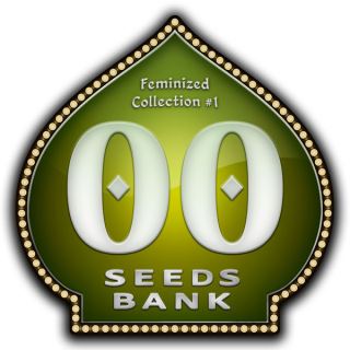 FC00 - Female Collection 1 - 00 Seeds