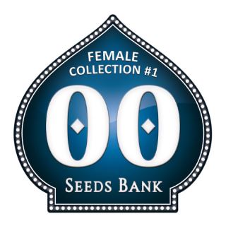 FC00 - Female Collection 1 - 00 Seeds