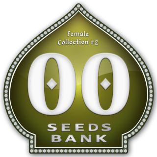 FC002 - Female Collection 2 - 00 Seeds