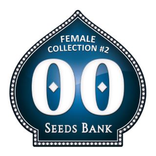 FC002 - Female Collection 2 - 00 Seeds