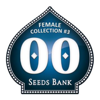 5844 - Female Collection 3 - 00 Seeds