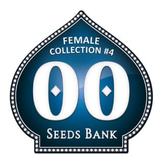 7658 - Female Collection 4 - 00 Seeds