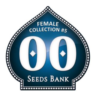 10781 - Female Collection 5 - 00 Seeds