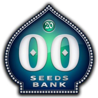 FM20 - Female Mix 20 u. fem 00 Seeds