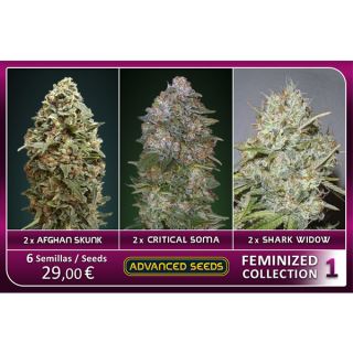 FCAS1 - Feminized Collection  #1 Advanced Seeds