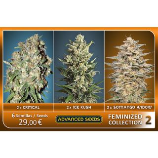 FCAS2 - Feminized Collection  #2 Advanced Seeds