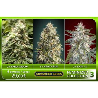 FCAS3 - Feminized Collection  #3 Advanced Seeds