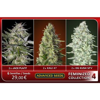FCAS4 - Feminized Collection  #4 Advanced Seeds