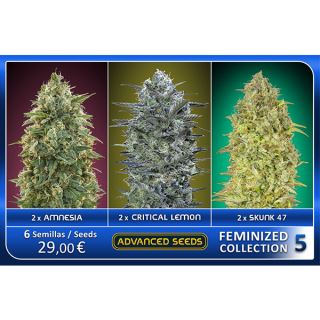 FCAS5 - Feminized Collection  #5 Advanced Seeds