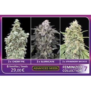 FCAS7 - Feminized Collection  #7 Advanced Seeds
