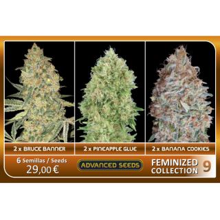 Feminized Collection  #9 Advanced Seeds