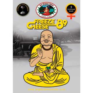 FRE5 - Freeze Cheese 89 -  5 u. fem. Big Buddha Seeds