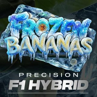 27789 - Frozen Bananas F1 -   1 u. fem. Barney's