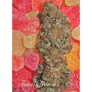 FDM6 - Fruitylicious 6 u. fem. Mandala Seeds (AGOTADA EN ORIGEN)