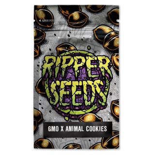 14386 - GMO x Animal Cookies  3 u. fem. Ed. Lim. Ripper Seeds