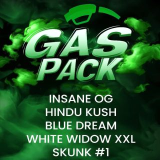 Gas Pack 10 u. fem. Barney's