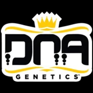 Gaz Money  5 u. fem. DNA Genetics
