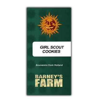 20311 - Girl Scout Cookies 1 u. fem. Barney's