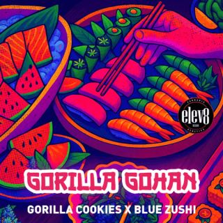 Gorilla Gohan 3 ud. fem Elev8 Seeds