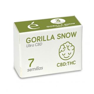 Gorilla Snow Ultra CBD 7 u. fem. Elite Seeds