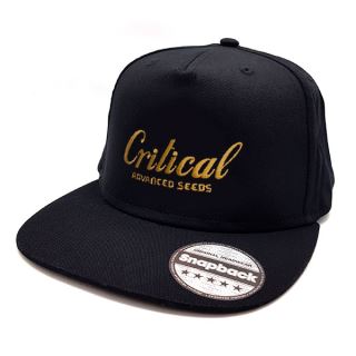 Gorra Bordada Critical