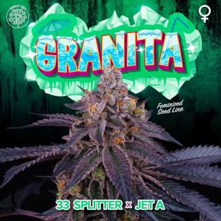26160 - Granita 3+1 u. fem Perfect Tree