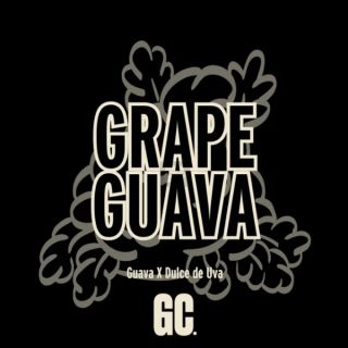 26347 - Grape Guava 3 u. fem  Grand Cru Genetics
