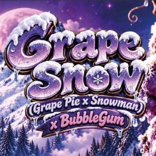 27720 - Grape Snow  6+1 u. fem. Limited Edition T.H. Seeds.