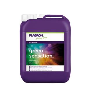 Green Sensation  5 lt. Plagron