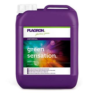 12055 - Green Sensation 10 lt. Plagron