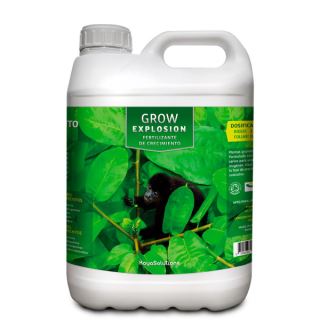 4052 - Grow Explosion  5 lt. Kayasolutions