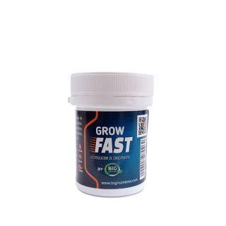 21731 - Grow Fast 20 gr. Big Nutrients