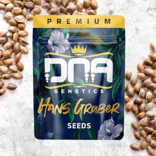 20303 - Hans Gruber 3 u. fem. DNA Genetics