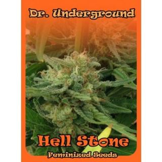 HSDU8 - Hell Stone 8 u. fem. Dr Underground