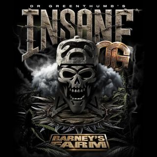 25243 - Insane OG   3 u. fem. Barney's