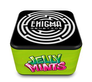 24086 - Jelly Mints 3 u. fem Enigma Genetics